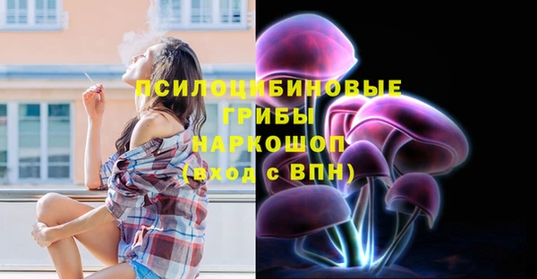 крисы Армянск