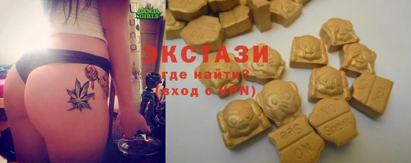 стаф Арсеньев