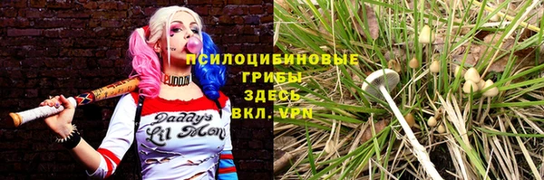 крисы Армянск