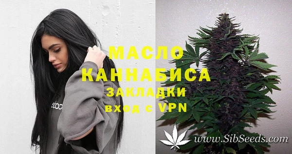 стаф Арсеньев