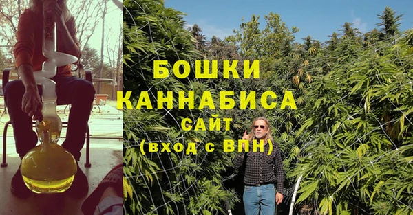 крисы Армянск