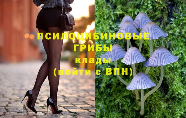 стаф Арсеньев