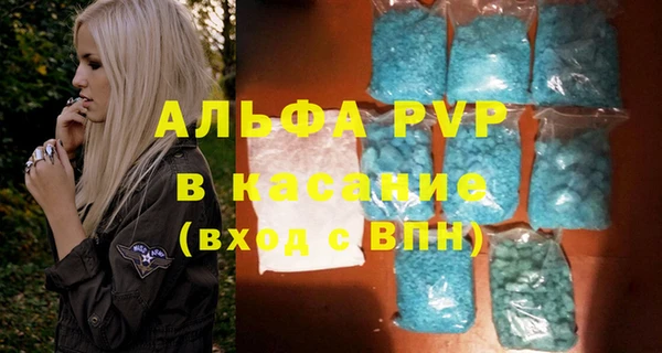 стаф Арсеньев