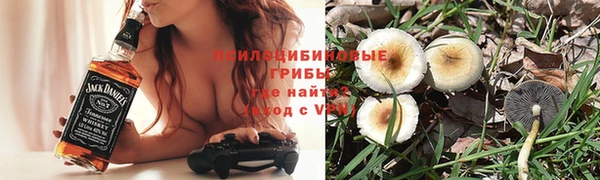 крисы Армянск