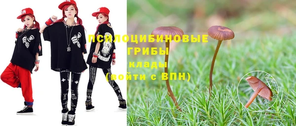 стаф Арсеньев