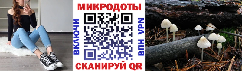 купить  сайты  Сысерть  Псилоцибиновые грибы Cubensis 